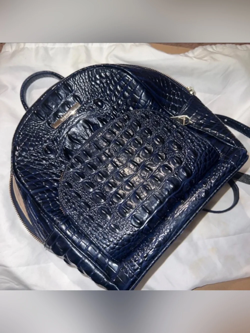 Brahmin backpack